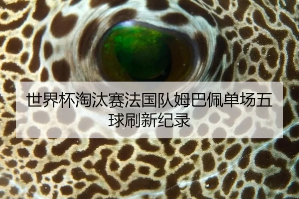 世界杯淘汰赛法国队姆巴佩单场五球刷新纪录
