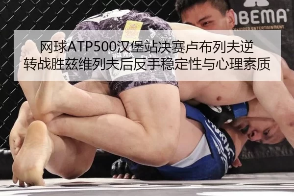 wang-qiu-han-bao-zhan-jue-sai-lu-bu-lie-fu-ni-zhuan-zhan-sheng-zi-wei-lie-fu-hou-fan-shou-wen-ding-xing-yu-xin-li-su-zhi-3-564.jpg